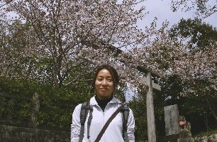 雲蹊寺の桜
